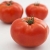 Pomidor Altadena 500 nasion